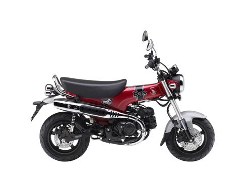 Rent the motocycle Dax125 in PauTravelMoto